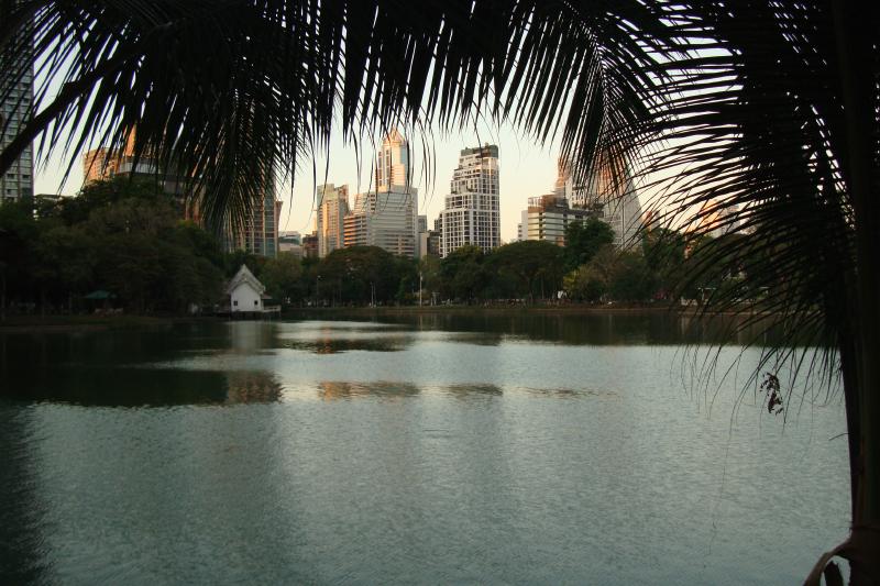 Featured image of post Surgery Diaries 2: One Month of Joy